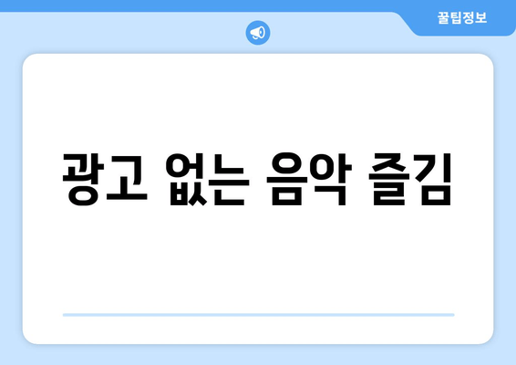 광고 없는 음악 즐김