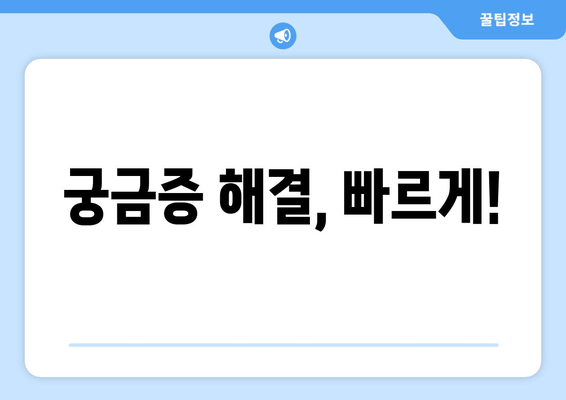 궁금증 해결, 빠르게!