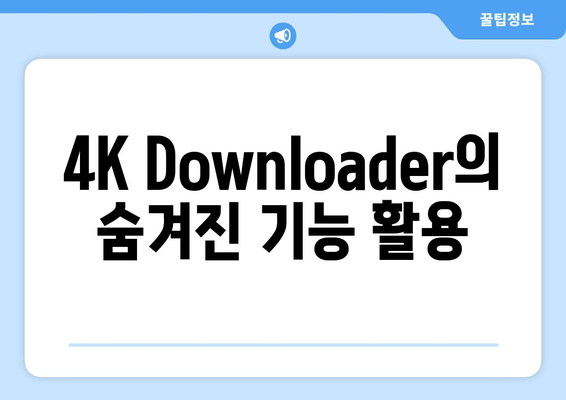 4K Downloader의 숨겨진 기능 활용