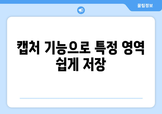 캡처 기능으로 특정 영역 쉽게 저장