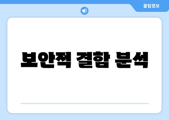 보안적 결함 분석