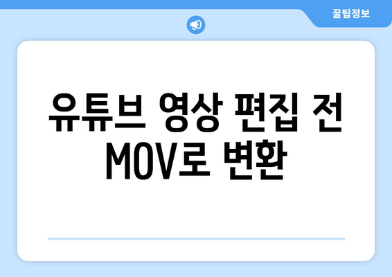 유튜브 영상 편집 전 MOV로 변환