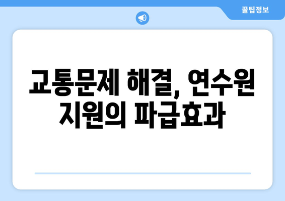 교통문제 해결, 연수원 지원의 파급효과