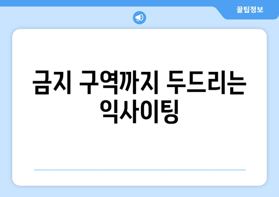 금지 구역까지 두드리는 익사이팅