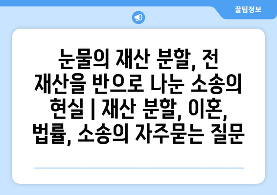 눈물의 재산 분할, 전 재산을 반으로 나눈 소송의 현실 | 재산 분할, 이혼, 법률, 소송