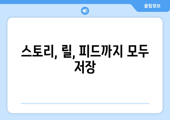 스토리, 릴, 피드까지 모두 저장