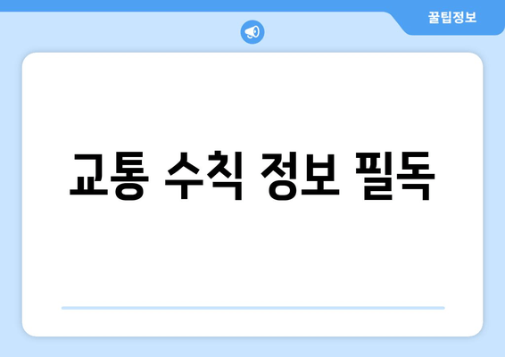 교통 수칙 정보 필독