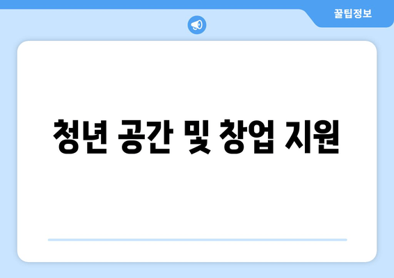 청년 공간 및 창업 지원