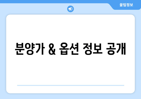 분양가 & 옵션 정보 공개