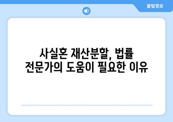 사실혼 재산분할 분쟁, 법적 대응 전략| 성공적인 결과를 위한 핵심 가이드 | 재산분할, 위자료, 소송, 법률 전문가