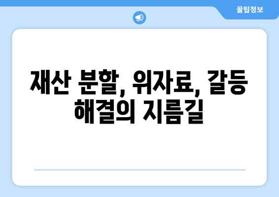 이혼 소송, 재산 분할 갈등 해결 위한 실질적인 가이드 | 재산분할, 위자료, 이혼 전문 변호사