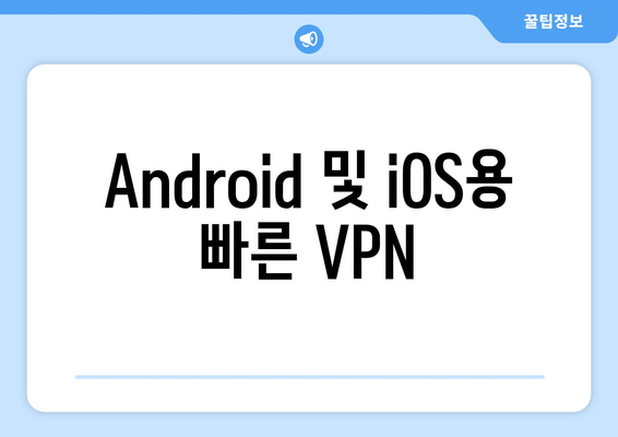 Android 및 iOS용 빠른 VPN