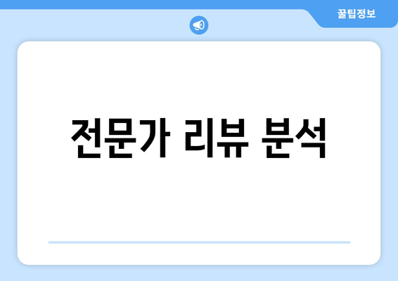 전문가 리뷰 분석