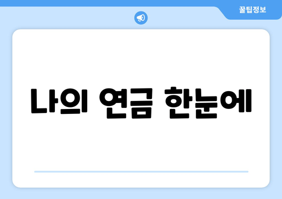 나의 연금 한눈에