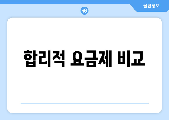 합리적 요금제 비교