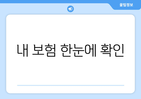 내 보험 한눈에 확인