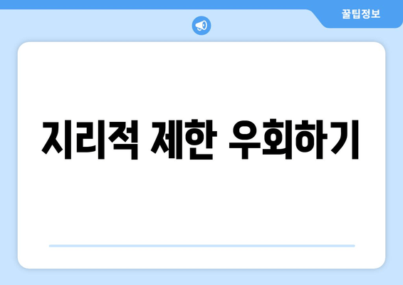 지리적 제한 우회하기