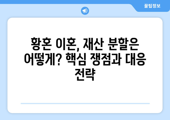 황혼 이혼, 재산 분할 소송의 핵심 논점 파악| 변호사가 알려주는 쟁점과 대응 전략 | 재산분할, 위자료, 재산 형성 기여, 노년층 이혼