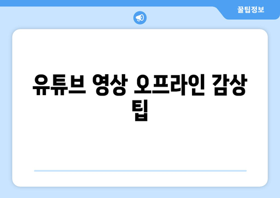 유튜브 영상 오프라인 감상 팁