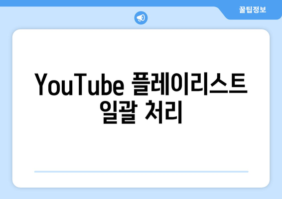 YouTube 플레이리스트 일괄 처리