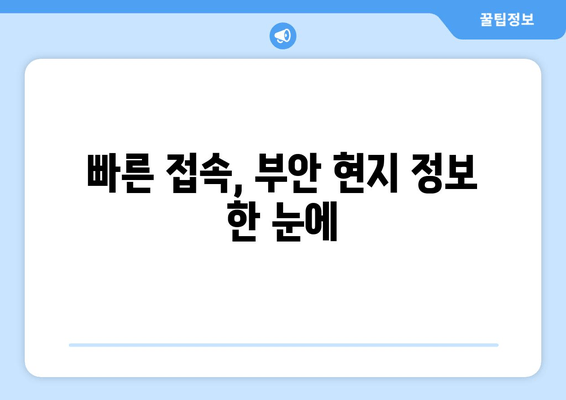 빠른 접속, 부안 현지 정보 한 눈에