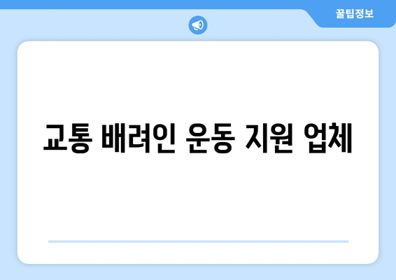 교통 배려인 운동 지원 업체