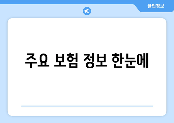 주요 보험 정보 한눈에