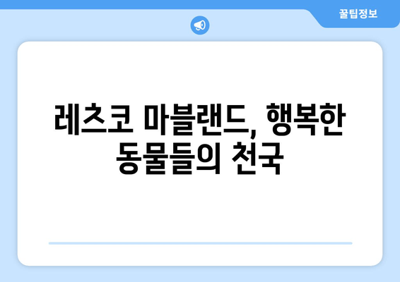 레츠코 마블랜드, 행복한 동물들의 천국