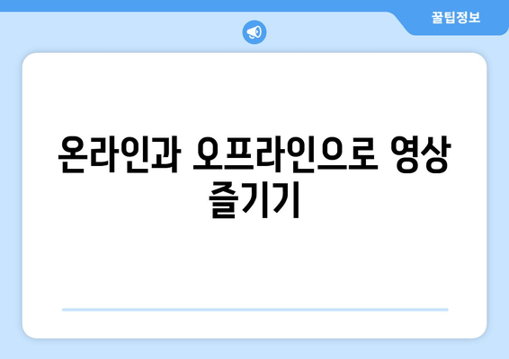 온라인과 오프라인으로 영상 즐기기