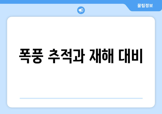 폭풍 추적과 재해 대비