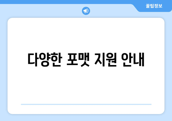 다양한 포맷 지원 안내