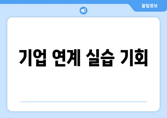 기업 연계 실습 기회