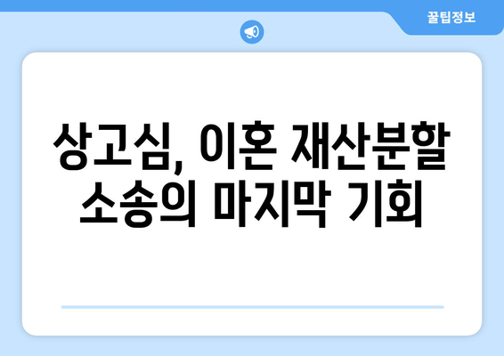 이혼 재산분할 오류, 상고심으로 바로잡기| 성공 전략 및 주의 사항 | 이혼, 재산분할, 소송, 법률