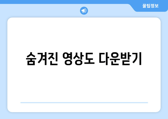 숨겨진 영상도 다운받기