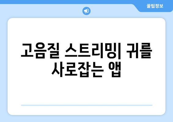 고음질 스트리밍| 귀를 사로잡는 앱