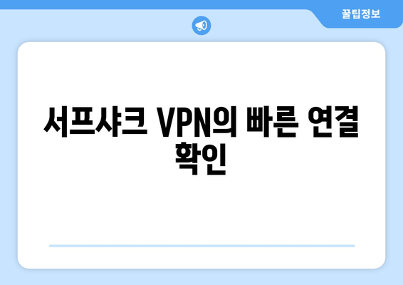 서프샤크 VPN의 빠른 연결 확인