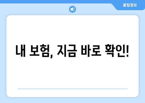 내 보험, 지금 바로 확인!