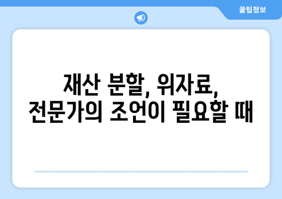 이혼 소송, 재산 분할 갈등 해결 위한 실질적인 가이드 | 재산분할, 위자료, 이혼 전문 변호사