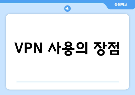 VPN 사용의 장점