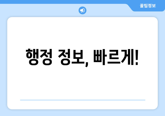 행정 정보, 빠르게!