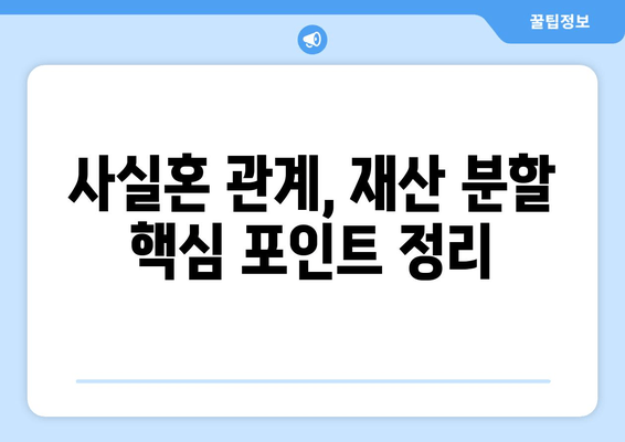 사실혼 관계 재산 분할, 갈등 해결 위한 실질적인 가이드 | 재산 분할, 위자료, 법률 정보, 소송