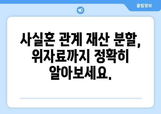 사실혼 관계 재산 분할 갈등, 법적 대변으로 해결하세요 | 재산분할, 위자료, 소송, 변호사, 법률 상담