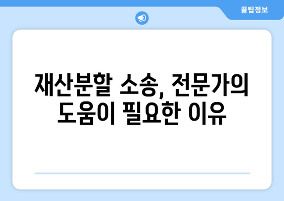 이혼소송 재산분할, 법적 대변인이 필수인 이유 | 재산분할, 변호사, 소송, 팁