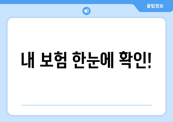 내 보험 한눈에 확인!