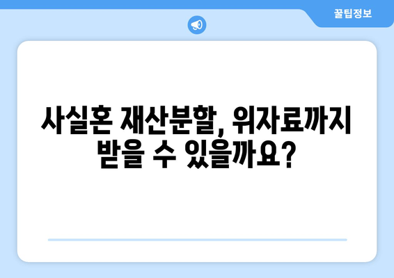 사실혼 재산분할 분쟁, 법적 대응 전략| 성공적인 결과를 위한 핵심 가이드 | 재산분할, 위자료, 소송, 법률 전문가