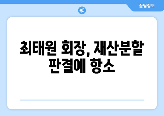 최태원 회장 재산분할 판결 항의|  법적 근거와 논점 분석 | 재산분할, 상속, 법률