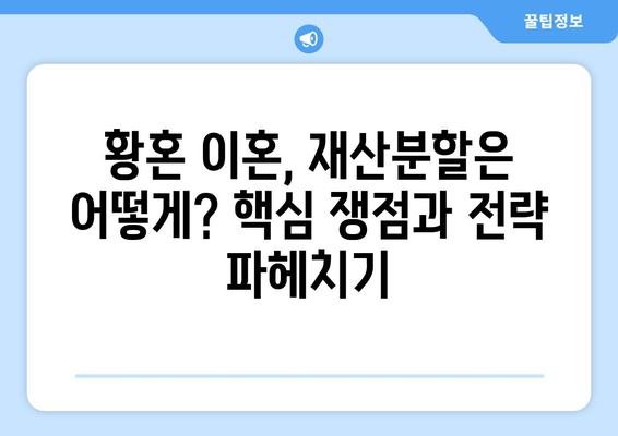 황혼 이혼, 재산분할 소송의 핵심 논점| 쟁점과 전략 | 재산분할, 위자료, 재산 형성 기여도, 법률 조항, 소송 준비