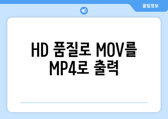 HD 품질로 MOV를 MP4로 출력