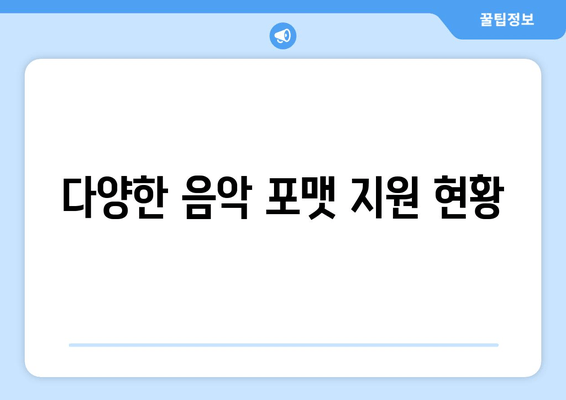 다양한 음악 포맷 지원 현황