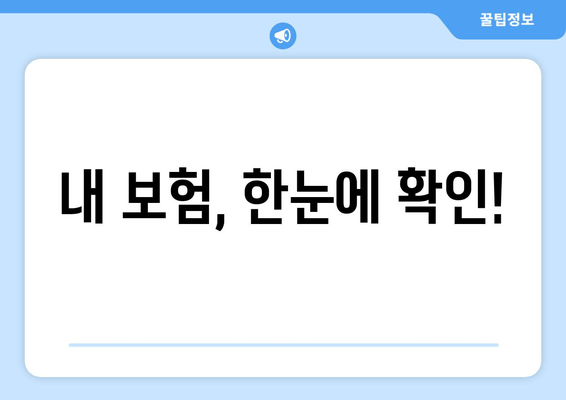 내 보험, 한눈에 확인!